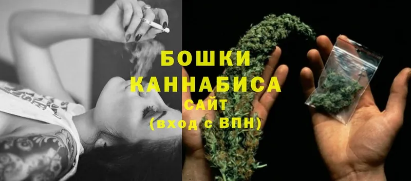 Бошки марихуана THC 21%  закладки  Красный Кут 